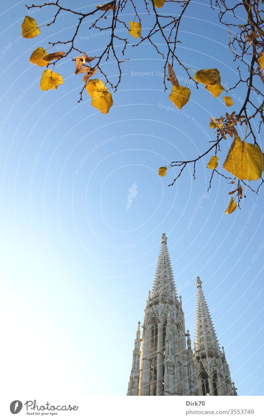 Votivkirche in Wien, im Herbst herbstlich Herbstlicht klar Klarheit Blauer Himmel wolkenlos blau Farbfoto Außenaufnahme Schönes Wetter Tag Menschenleer