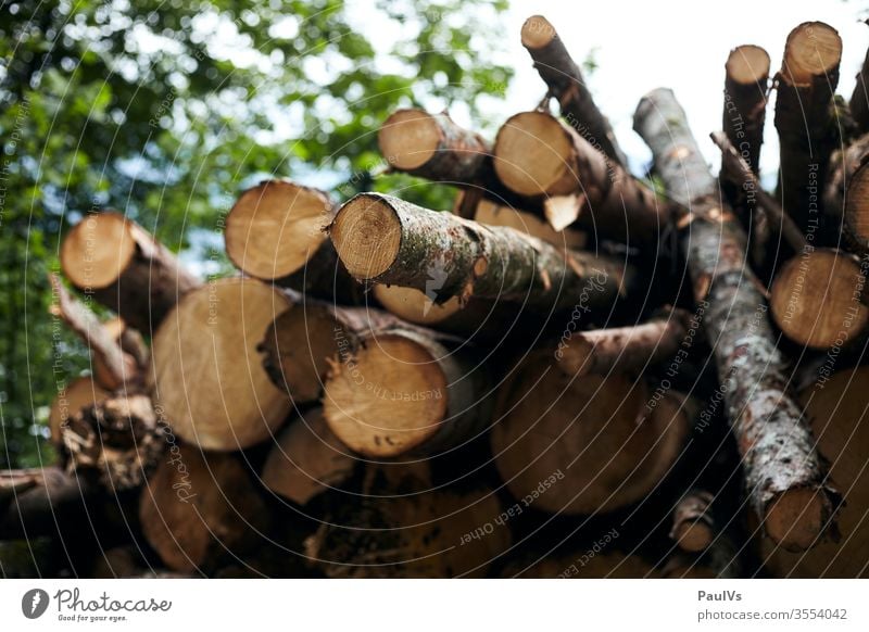 Holz Haufen Holzstoss Forstarbeit holzstapel feuerholz holzhacken holzhaufen brennholz holzhaus forstarbeit natur wald forstarbeiter natürliche rohstoffe