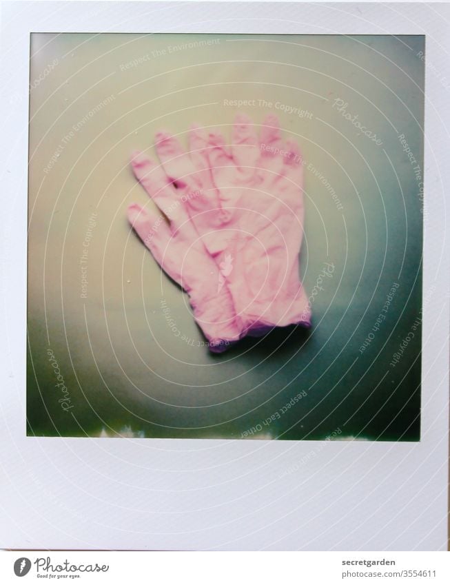 Handschuhgröße M. Handschuhe Gummihandschuhe minimalistisch Polaroid analog pink grün Schutzbekleidung schützend Farbfoto Hände ordentlich mittig