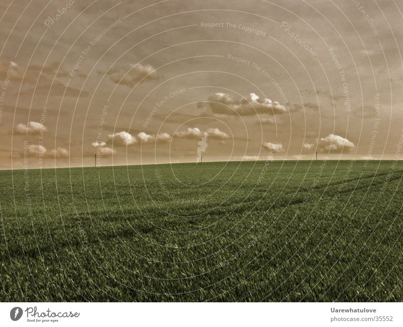 Fernweh Wiese Wolken Horizont Grass Ferne Himmel Landschaft Natrur