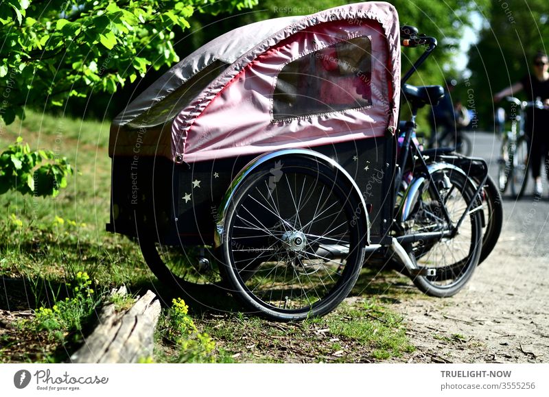 Lasten Fahrrad, ein umweltfreundlicher Öko Transporter für Kind und Kegel in Cabrio Version mit pink farbenem Verdeck beim Ausflug in die Natur Lastenrad