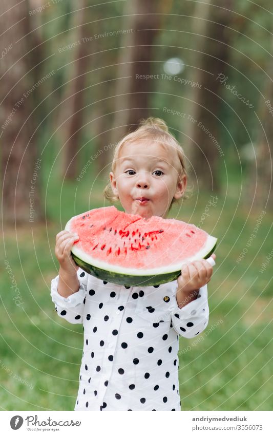 Ein süßes kleines Mädchen, das im Sommer ein großes Stück Wassermelone auf dem Rasen isst. Bezauberndes kleines Mädchen, das im Garten spielt und in ein Stück Wassermelone beißt. selektive Konzentration