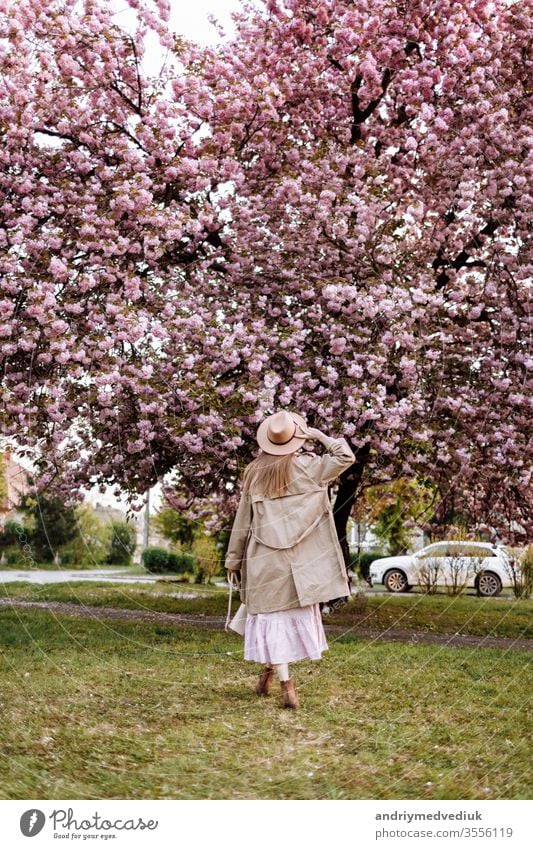 Schöne Frau steht mit dem Rücken zu den Sakura-Bäumen. Frau mit Hut, Kleid und stilvollem Mantel. Rosa Blumen blühen in Uschhorod, Ukraine. Blühen herum. Frühlingszeit-Konzept
