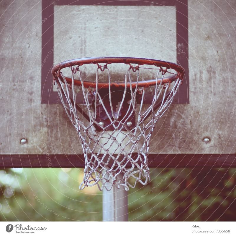 Präzision erwünscht. Lifestyle Freude Freizeit & Hobby Spielen Sommer Sport Ballsport Basketball Sportstätten Optimismus Willensstärke Selbstbeherrschung