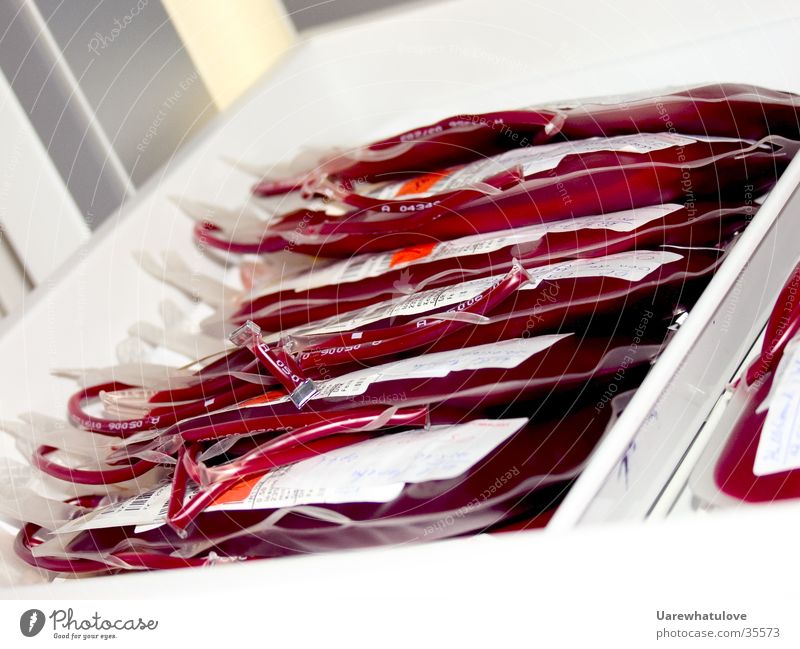 Blutkonserven Konservendose Kühlschrank rot Labor gekühlt Wissenschaften Fach Detailaufnahme