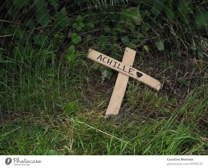 Umgeknicktes Kreuz am Wegesrand mit der Aufschrift Achille "der Schmerz" achille Religion Trauerflieger Tod gestorben wegesrand Natur Queraufnahme