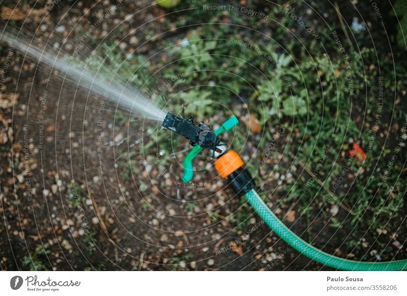 Garten-Bewässerungssprinkler bestäuben Sommer Frühling Wasser Gartenarbeit Farbfoto Schlauch Wasserschlauch Gärtner nass grün Gartenschlauch Natur Tag