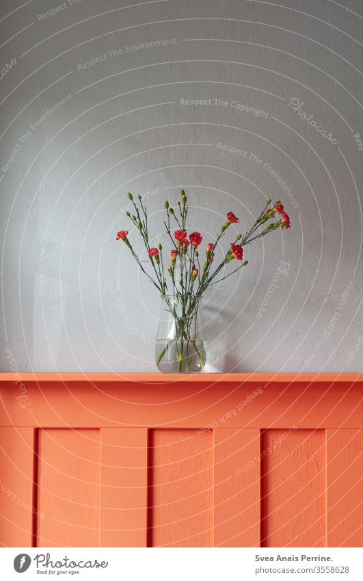 Blumen Blumenstrauß Innenaufnahme Design grau orange Vase Inneneinrichtung Wohnung wohnen Wohnzimmer Sommer Frühling farbenfroh Farbe Wasser