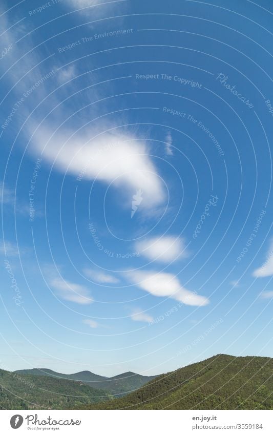blauer Himmel mit Schleierwolken über bewaldete Hügel des Pfälzerwaldes himmel schleierwolken hügel berge pfälzerwald Rheinland-Pfalz deutschland europa