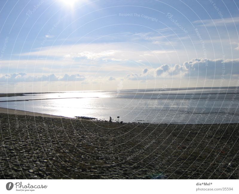 Fernweh Meer ruhig Sonnenuntergang Licht Wolken Einsamkeit Strand Wasser Nordsee blau hell
