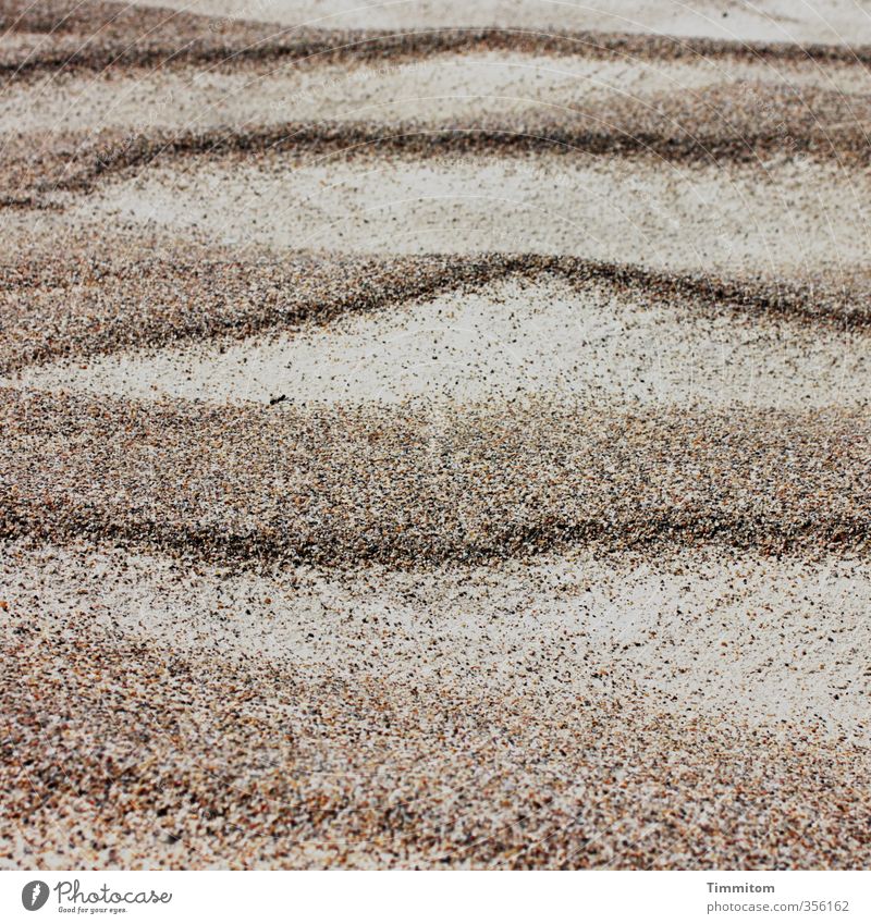 Gestaltung. Ferien & Urlaub & Reisen Strand Umwelt Sand Nordsee Dänemark einfach natürlich braun grün ästhetisch Wellenform Linie Farbfoto Gedeckte Farben