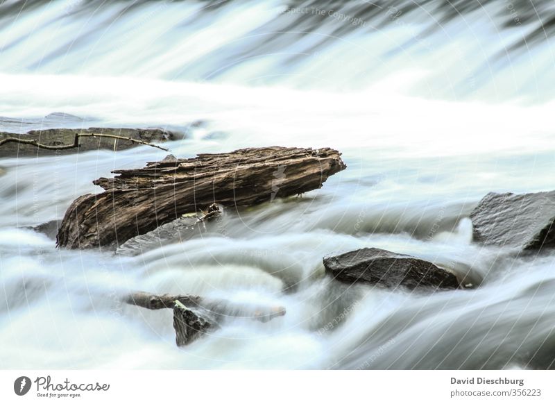 Treibholz Ferien & Urlaub & Reisen Natur Landschaft Wasser Frühling Sommer Herbst Schönes Wetter Wellen Küste Flussufer Bach Wasserfall blau braun schwarz weiß