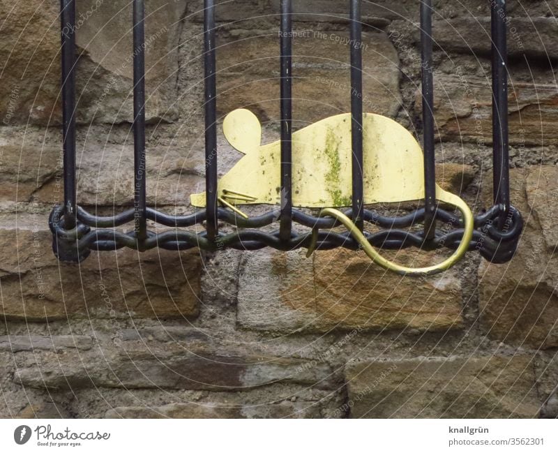 Eine goldene Maus aus Metall sitzt in einem schwarzen Metallkäfig, befestigt oben an einer historischen Mauer Mausefalle Käfig Tier gefangen Gitter stilisiert