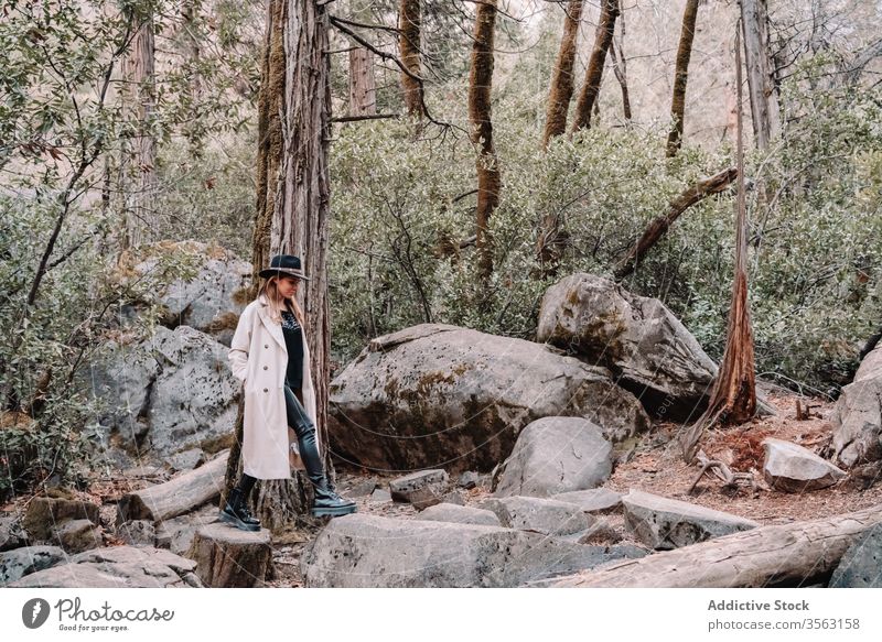 Stilvolle Reisende zwischen Steinen im Wald stehend Frau reisen trendy Baum Landschaft yosemite Park Berge u. Gebirge Felsen national Kalifornien USA amerika
