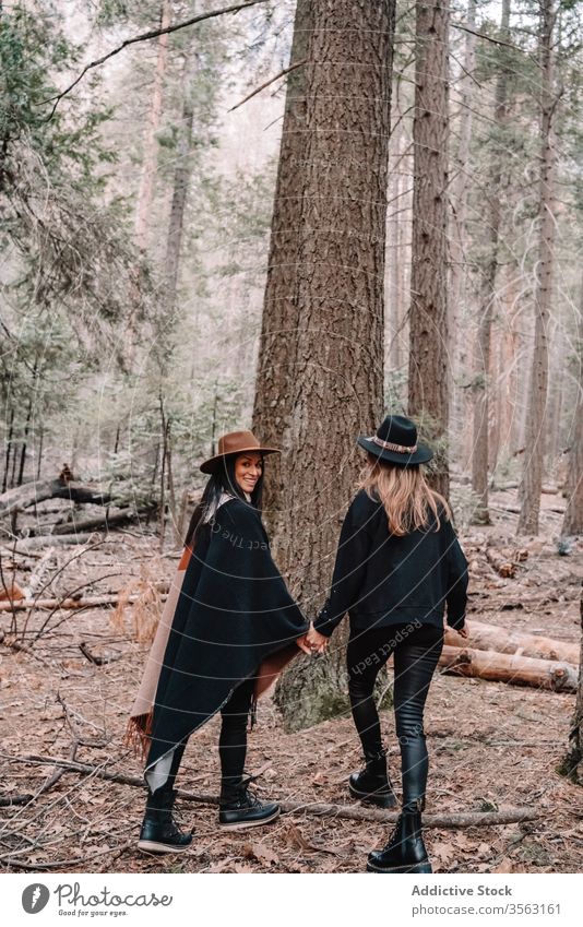 Junge weibliche Reisende im Nadelwald Frauen Wald Baum Zusammensein Freund reisen Stein Stil trendy Wälder Kofferraum Landschaft yosemite Park Sequoia national