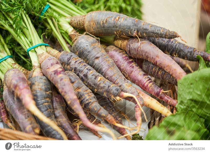 Weibliche Hand mit Radieschen in der Hand in einem Obstladen Wurzel Lebensmittel Frische rot Ackerbau Gemüse Gesundheit Blatt Bestandteil roh organisch Rettich
