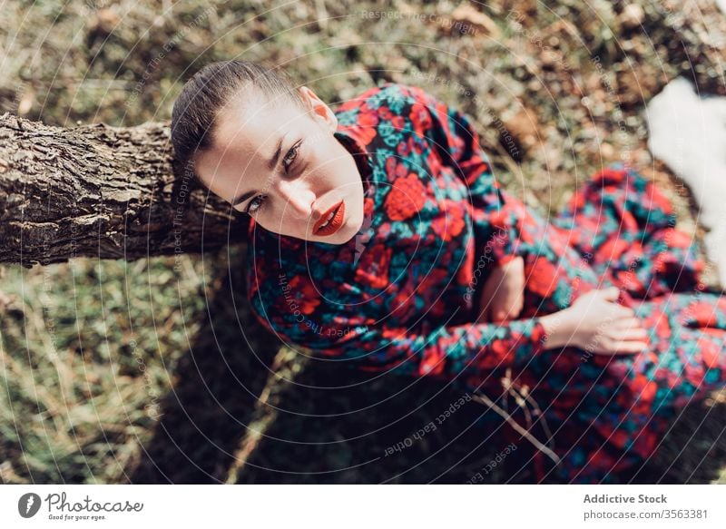 Unglückliche Frau in elegantem Kleid unter einem Baum sitzend unglücklich traurig Stil verärgert farbenfroh einsam Herbst Wald Mode rot Park jung Make-up