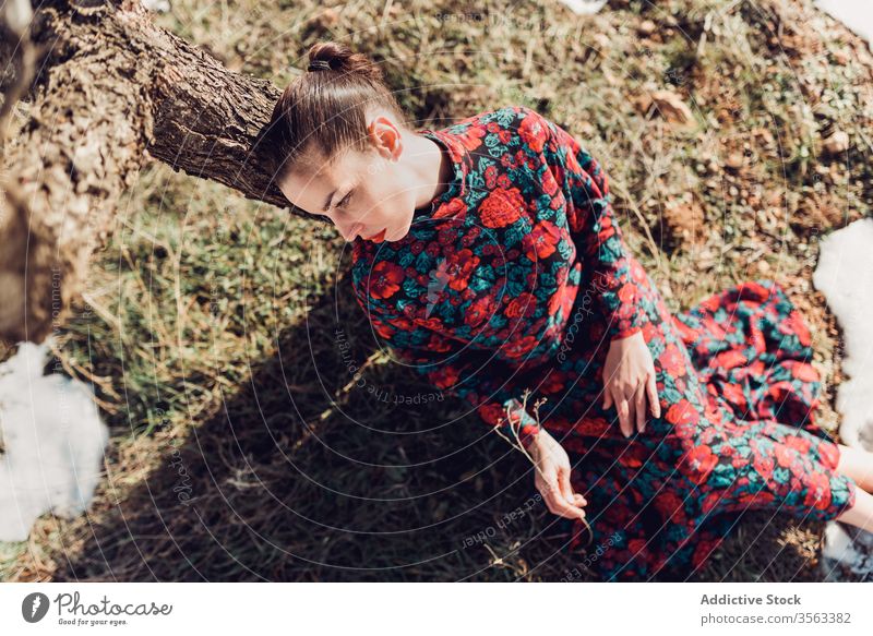 Unglückliche Frau in elegantem Kleid unter einem Baum sitzend unglücklich traurig Stil verärgert farbenfroh einsam Herbst Wald Mode rot Park jung Make-up