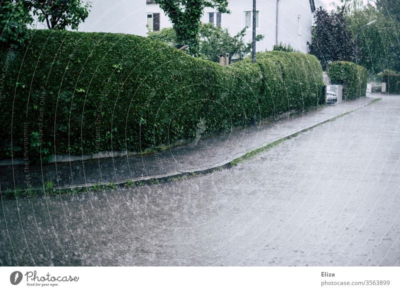 Eine Straße in einer Wohngegend bei starkem Regen Regenschauer leer nass schlechtes Wetter Herbst Bürgersteig Starkregen trist grau grün