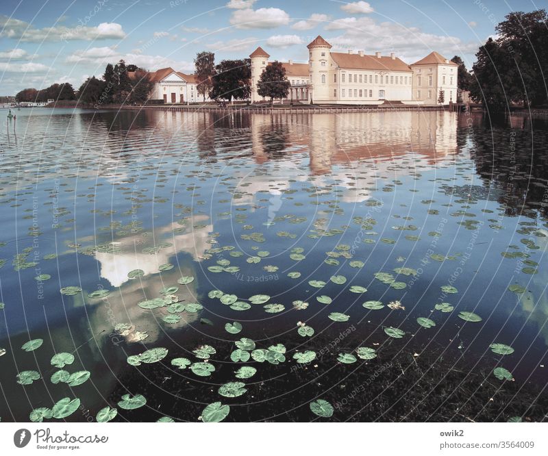 Schloss Rheinsberg Brandenburg See Teich Schlossteich Wasser Wasserspiegelung Reflexion & Spiegelung Himmel Wolken Wasserrosen Bäume Idylle