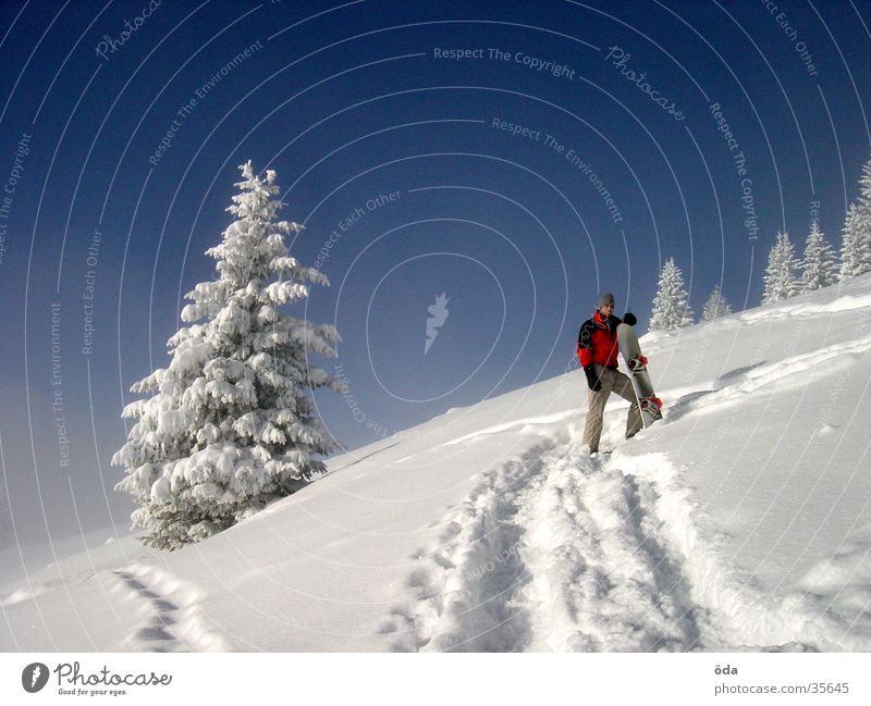 Winterimpression Baum Ferien & Urlaub & Reisen Snowboard Skitour Spuren Schnee Snowboarder Pause warten aufwärts 1 Tiefschnee Pulverschnee Schneelandschaft