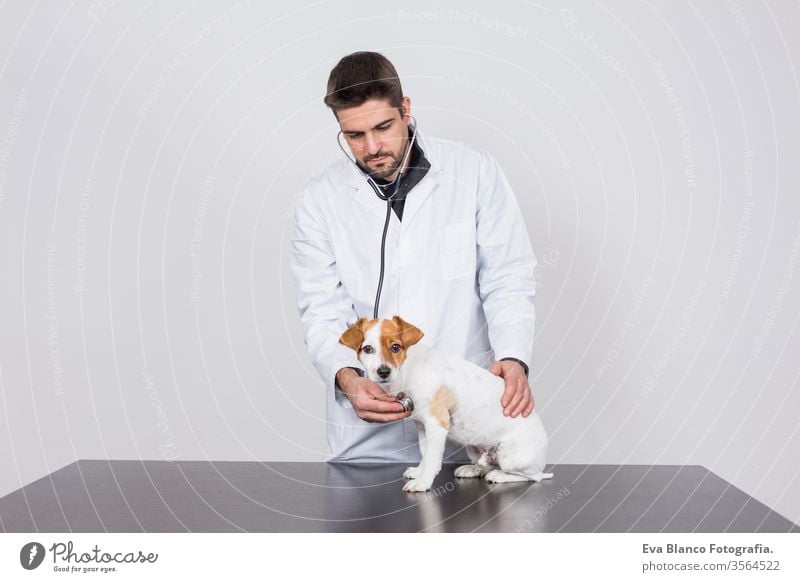 junger Tierarzt, der einen niedlichen kleinen Hund mit dem Stethoskop untersucht, isoliert auf weißem Hintergrund. Innenräume Medizin Besitzer männlich Klinik