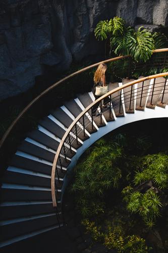 Junge Frau erklimmt schöne Treppe mit Vegetation nach oben Stein Sandsteinmauer minimalistisch Strukturen & Formen Muster Detailaufnahme Design Linien Farbfoto