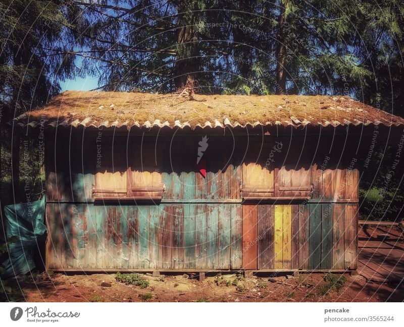 alt | aldehydde Hütte Holz bunt Wald verwittert Moos Farbfoto Außenaufnahme Haus Holzhütte
