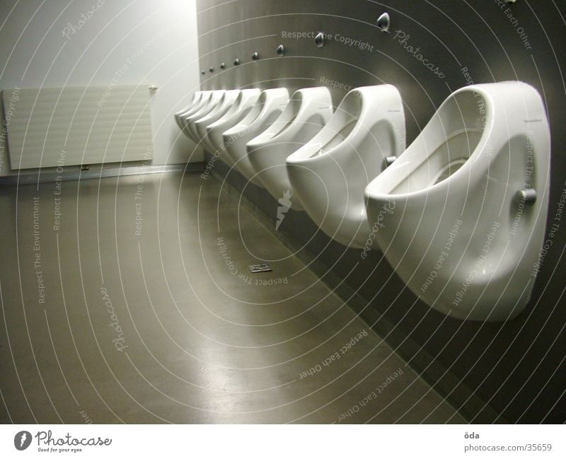 It’s a man’s world Pissoir Herr Herrentoilette Architektur Toilette Becken