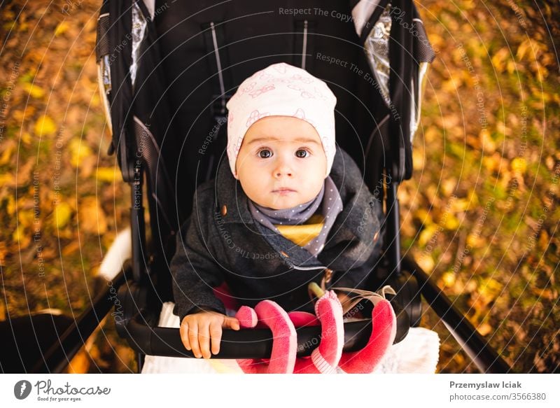 Ein einjähriges süßes Mädchen in schwarzem Kinderwagen staunte über das bunte Herbstlaub. Baby Ausdruck Park schlendern fallen Natur Blätter Mutter Gefühle