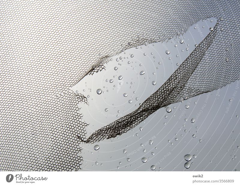 Khan Asparuch Fenster Glas Wassertropfen Regen nass schlechtes Wetter Fliegenschutz Gaze Kunststoff zerfetzt alt abgenutzt Zahn der Zeit Fetzen windzerzaust