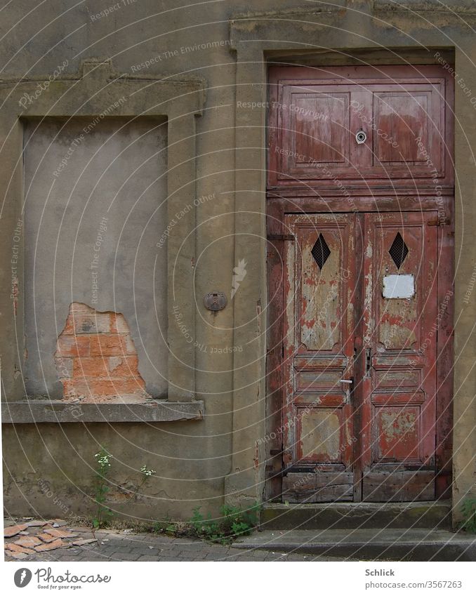 Fassade uralte Haustür aus Holz mit leerem Schild und zugemauertes Fenster Fensteröffnung Textfreiraum Pflanzen Putz marode Türeinfassung Fenstereinfassung