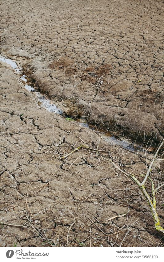 ausgetrockneter Weiher Teich trocken Dürre dürreperiode Erde Boden humus erdreich Landwirtschaft agrarfläche