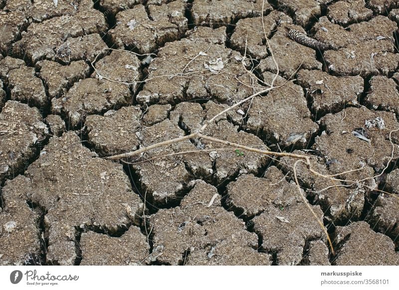 ausgetrocknetes Erdreich trocken Dürre dürreperiode Erde Boden humus erdreich Landwirtschaft agrarfläche