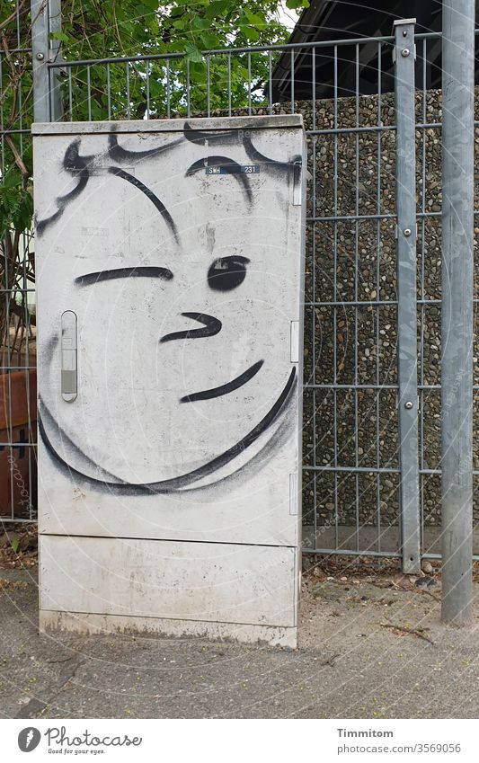 Na, geht doch! Zaun Metall Verteilerkasten Graffiti Menschenleer Außenaufnahme Augen Zwinkern Beton Asphalt