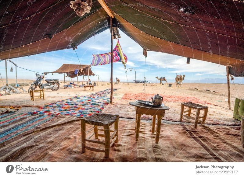 Inneres des temporären Stretch-Zeltes Bedoiun in der Agafay-Wüste, Marokko Haus Camel im Inneren im Innenbereich Tier Glas Tee Stuhl Tisch Gate Nomade wüst