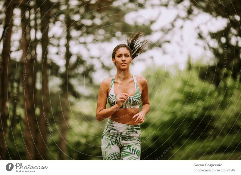 Junge Fitness-Frau läuft auf Waldweg Athlet Park aktiv grün Übung laufen jung im Freien Läufer Joggen Training Jogger passen Baum Lifestyle Sport ländlich