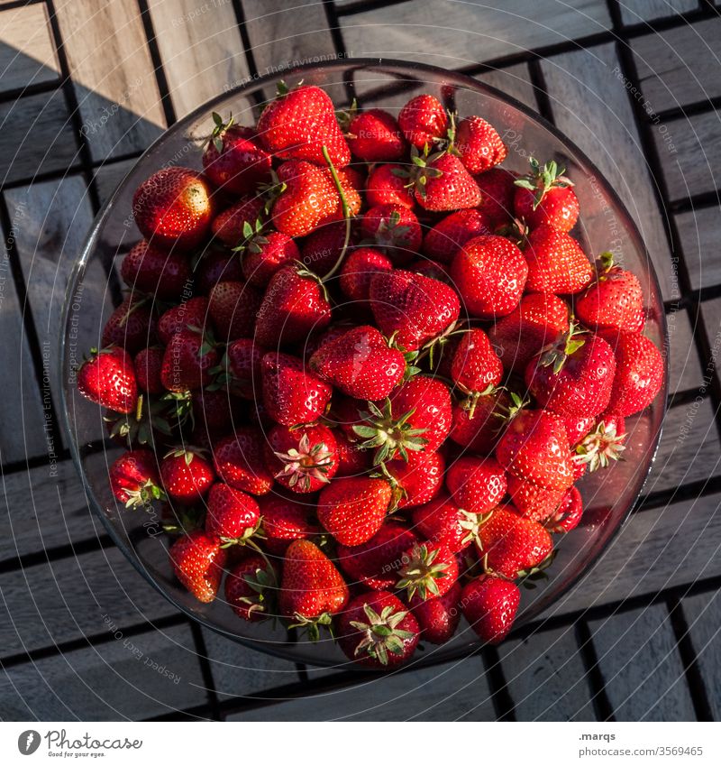 Erdbeeren Schalen & Schüsseln Frucht Ernährung Lebensmittel Bioprodukte Sommer Gesunde Ernährung Vogelperspektive