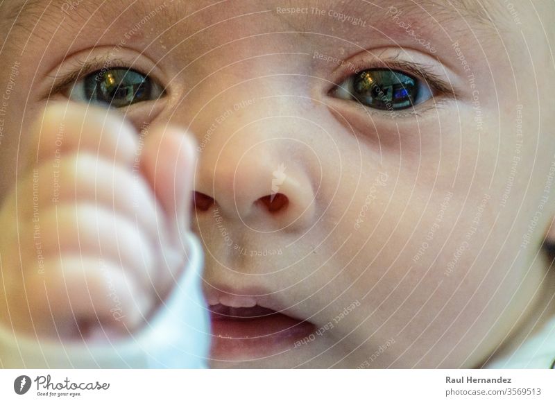 Baby-Augen, die Frieden und Zärtlichkeit vermitteln Übertragung süß Reinheit Mund Hals Nägel Anmut wehren rein Delikatesse Windstille vorsichtig eine Kaukasier