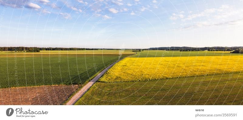 Blick von oben über landwirtschaftliche Felder und einen Feldweg bei Bergheim Bereich Flug Luftaufnahme landwirtschaftliche Flächen Vogelschau Textfreiraum