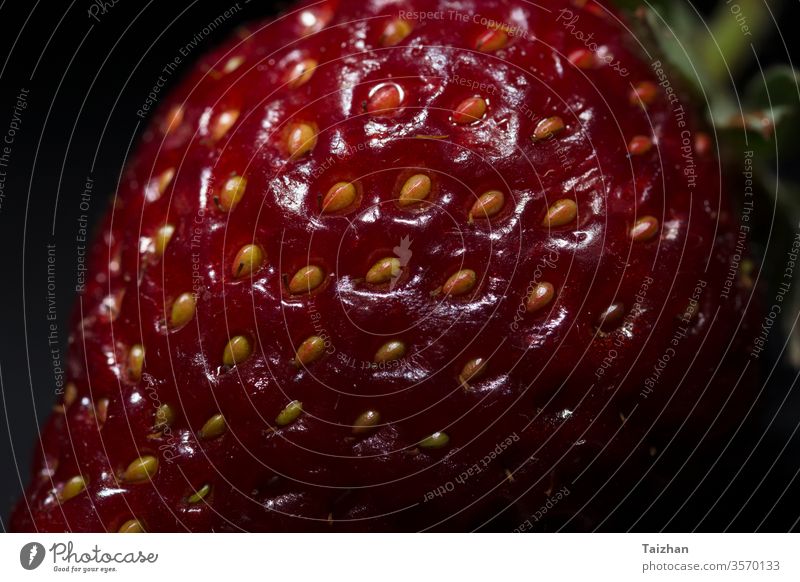 Frische, rote, reife Erdbeeren auf schwarzem Hintergrund. Makroaufnahme. Dramatisches Licht saftig Gesundheit geschmackvoll Beeren Lebensmittel organisch süß