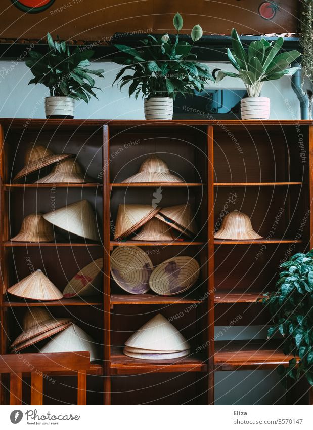 Ein Regal mit vielen verschiendenen asiatischen Kegelhüten, auch Reishut genannt, in Vietnam Kegelhut traditionell Dekoration Holz Pflanzen Tradition