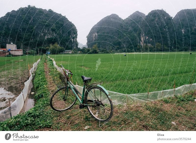 Ein Fahrrad vor Reisfeldern in Ninh Binh, Vietnam Asien Ferien & Urlaub & Reisen Landschaft asiatisch Natur Reisefotografie Landwirtschaft Reisanbau