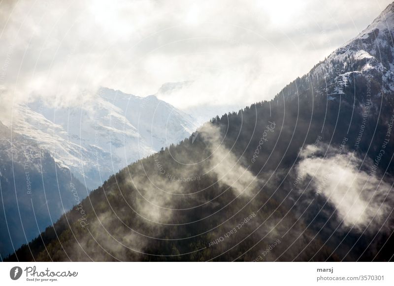 Bergrücken mit Wolken Berge verhüllt Schnee Alpen Berge u. Gebirge Österreich geheimnisvoll Wolkenfetzen diagonal kalt