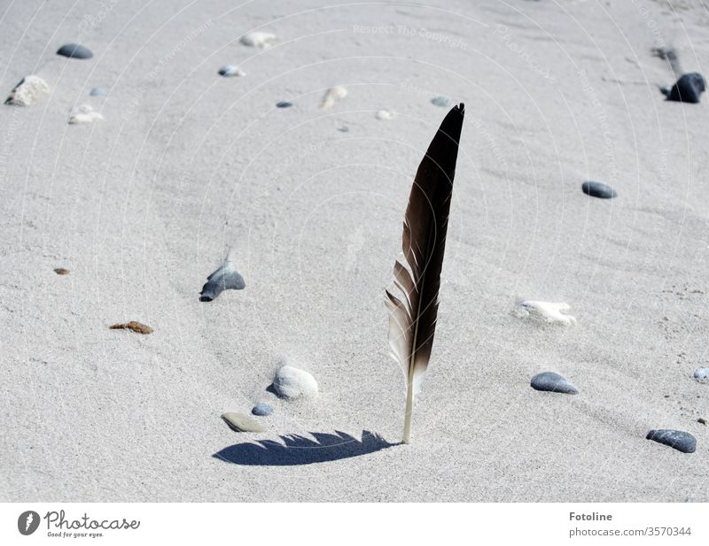 Sanduhr Marke Eigenbau - oder Eine Möwenfeder steckt im feinen Strandsand und wirft einen kleinen Schatten. Begleitet wird sie von einigen wohl platzierten Steinen