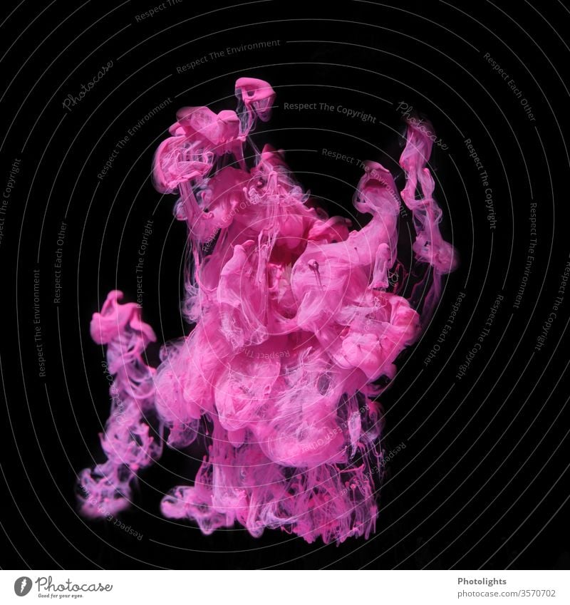 Wasserspiel mit pinker Farbe auf schwarzem Hintergrund Farbenspiel Hintergrundbild Kunst Strukturen & Formen Farbfoto abstrakt leuchten mehrfarbig Licht Acryl