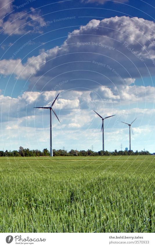 Windräder und Weizenfeld Windrad Windenergie Energie Erneuerbare Energie Energiewirtschaft Farbfoto Außenaufnahme Menschenleer Umweltschutz