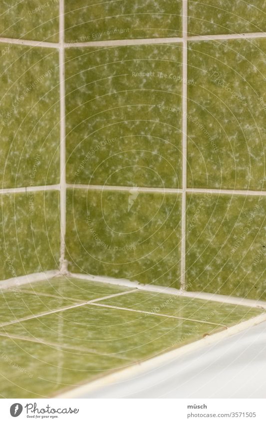 Badezimmerkacheln grün Kacheln Quadrat weiß Fliesen System Ecke Wand Keramik Fuge Mode Sanitär Wellness Steingut Mathematik Kitt