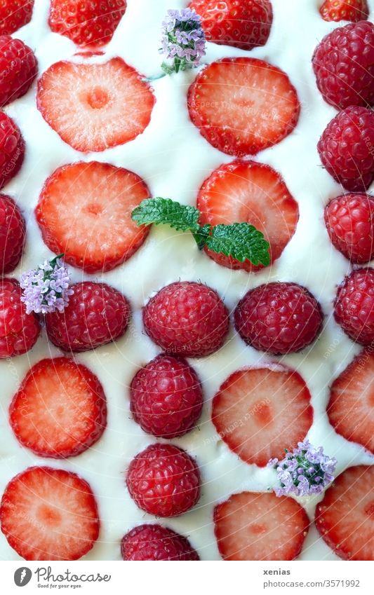 Leckere Creme mit Erdbeeren und Himbeeren in der Reihe, dekoriert mit frischer Zitronenmelisse und Orangenthymian Bioprodukte Thymian Melisse Dessert lecker