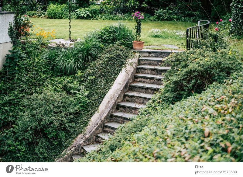 Treppe im Garten die eine Böschung hinunter in den Keller führt Geländer abwärts aufwärts grün verwunschen Natur gepfegt Pflanzen bepflanzt groß Grundstück